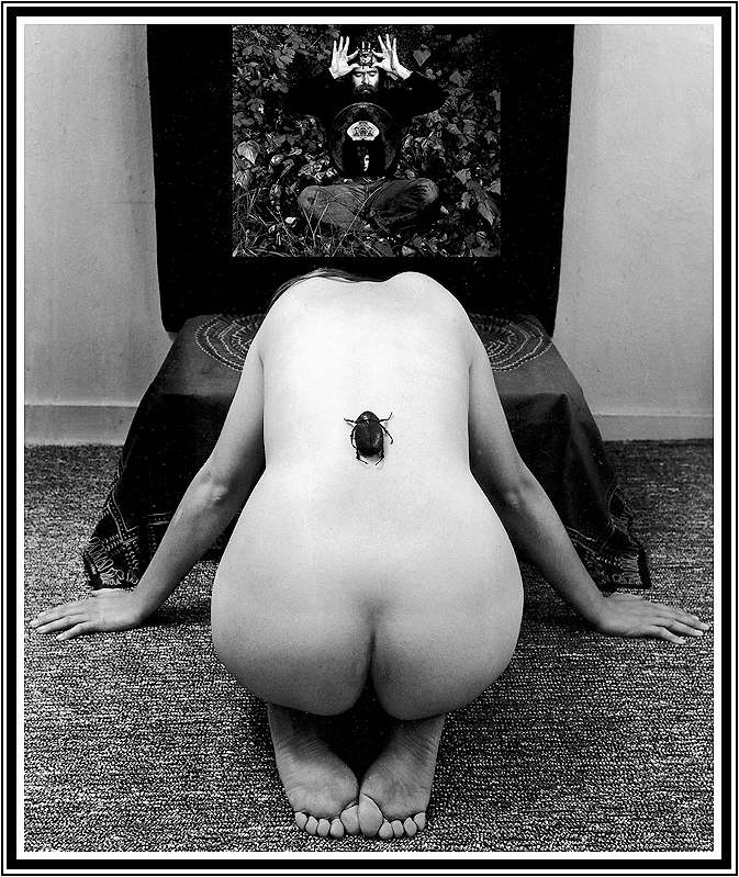 David Howard Photography