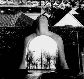DAVID HOWARD PHOTO ART