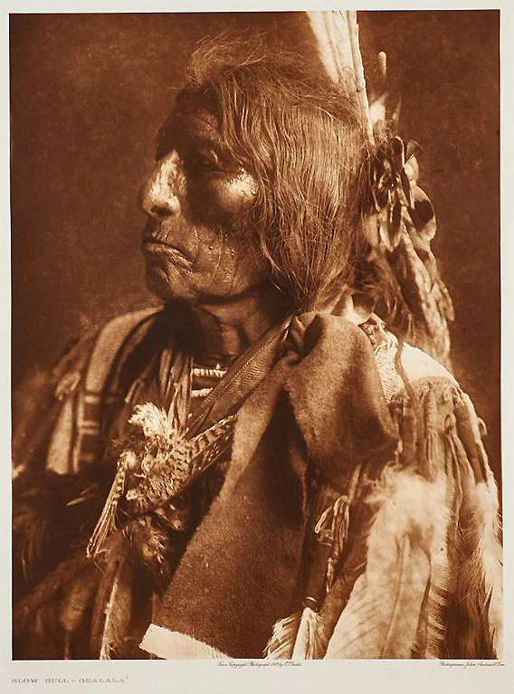 Edward Curtis Slow Bull Gravure David Howard Tribal Art