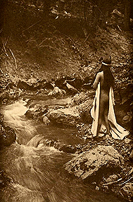 edward Curtis Maid of Dreams david Howard Tribal Art