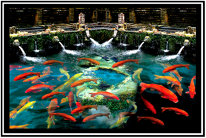 San Francisco Center for Visual Studies