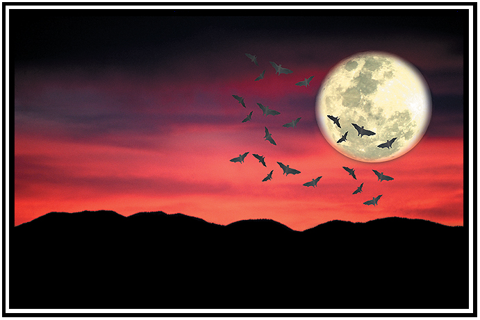 San Francisco Center for Visual Studies