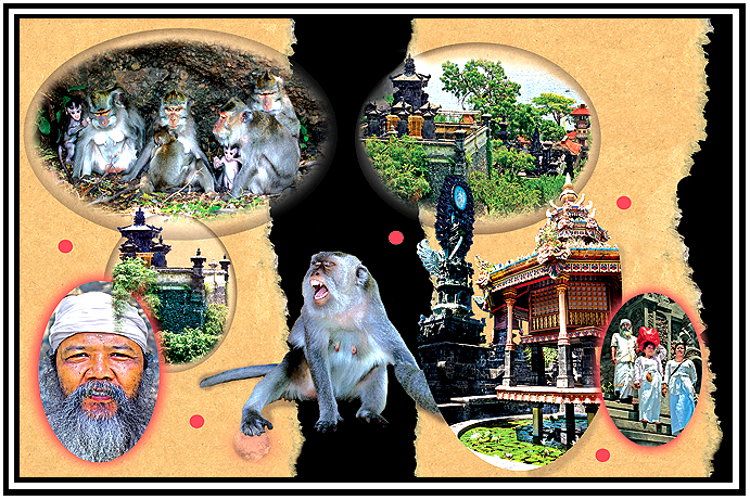 San Francisco Center for Visual Studies