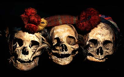 IFUGAO RACK OF THREE REAL HUAMN SKULLS DAVID HOWARD TRIBAL ART