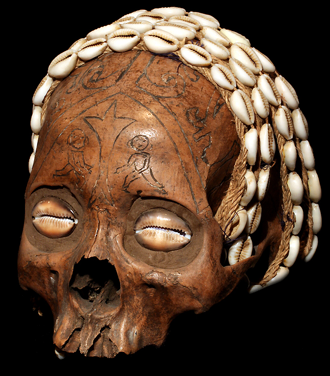 David Howard Tribal Art Dayak Trophy Skull