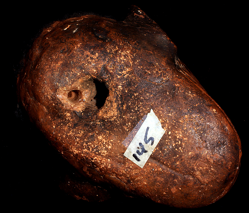 IATMUL DETAIL BOTTOM OVERMODELED REAL HUMAN SKULL