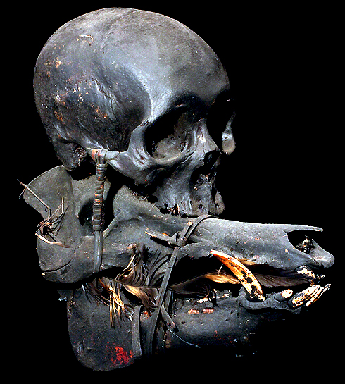 David Howard Tribal Art Ifugao Tribal Trophy Human Skull