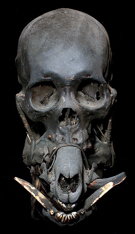 Ifugao Head Hunting Skull