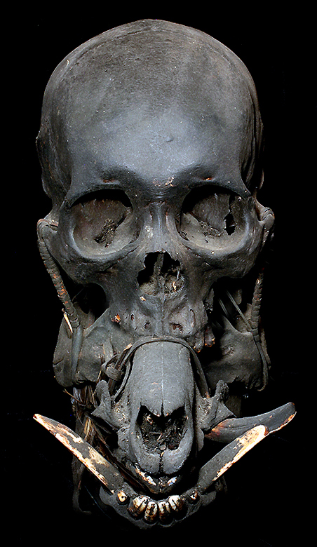 David Howard Tribal Art Ifugao Skull