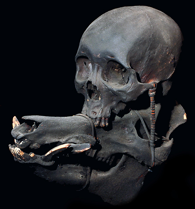 Ifugao Head Hunting Real Human Trophy Skull