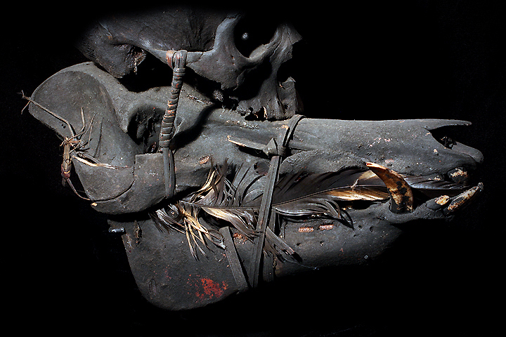 David Howard Tribal Art Ifugao Skull
