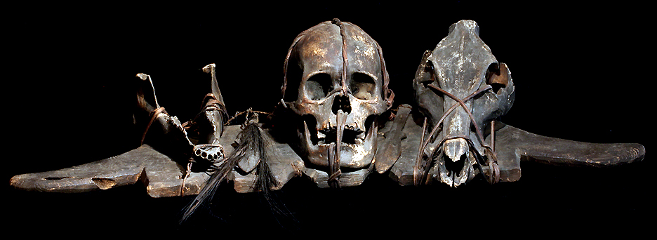 Ifugao Human Trophy Skull