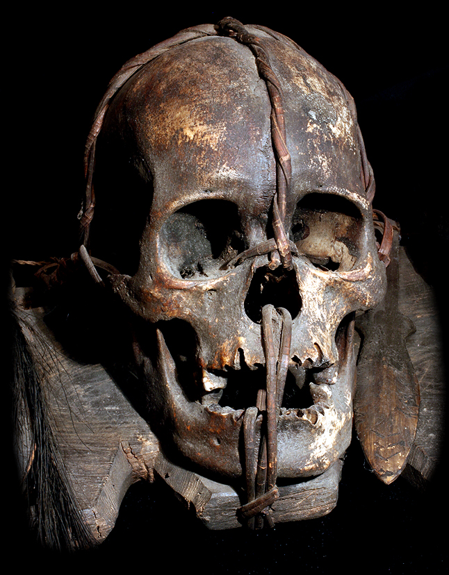 David Howard Tribal Art Ifugao Real Human Trophy Skull