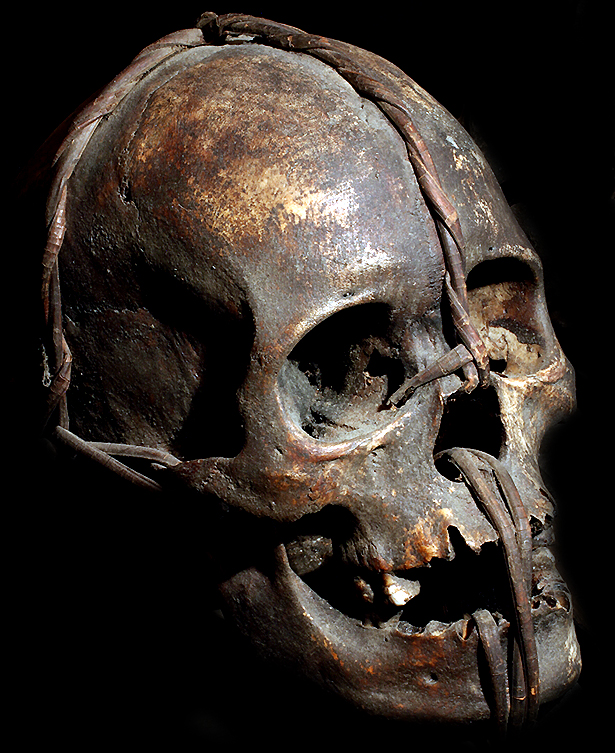 Filipino Human Trophy Skull Ifugao Tribe David Howard Tribal Art