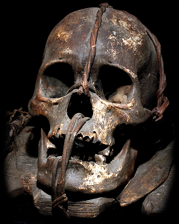 Human Head Hunting Real Trophy Skull