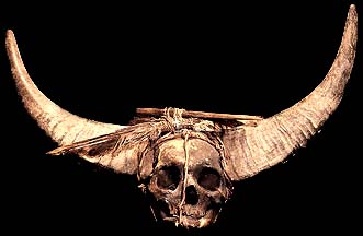 DAVID HOWARD TRIBAL ART NAGA HEADHUNTED HUMAN TROPHY SKULL