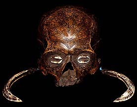 DAYAK TROPHY SKULL DAVID HOWARD TRIBAL ART