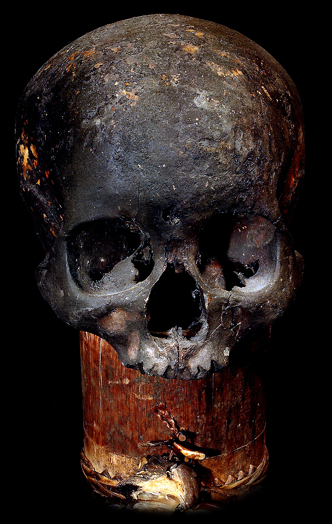 HEAD HUNTER'S TROPHY SKULL DAYAK TRIBE BORNEO