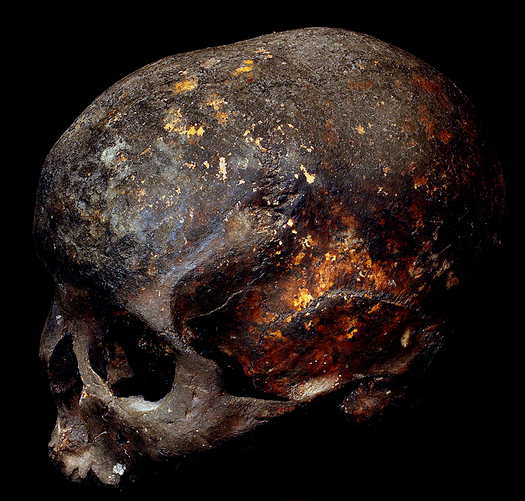 HUMAN TROPHY SKULL