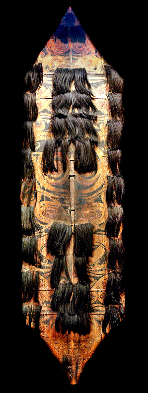 Dayak Head Hunter Warrior's Shield