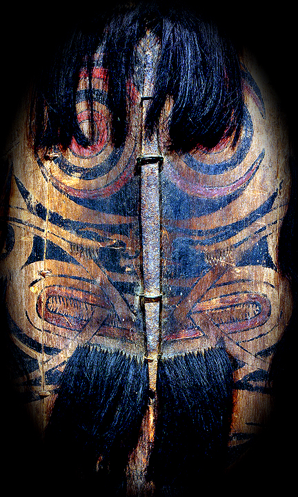 Dayak Shield