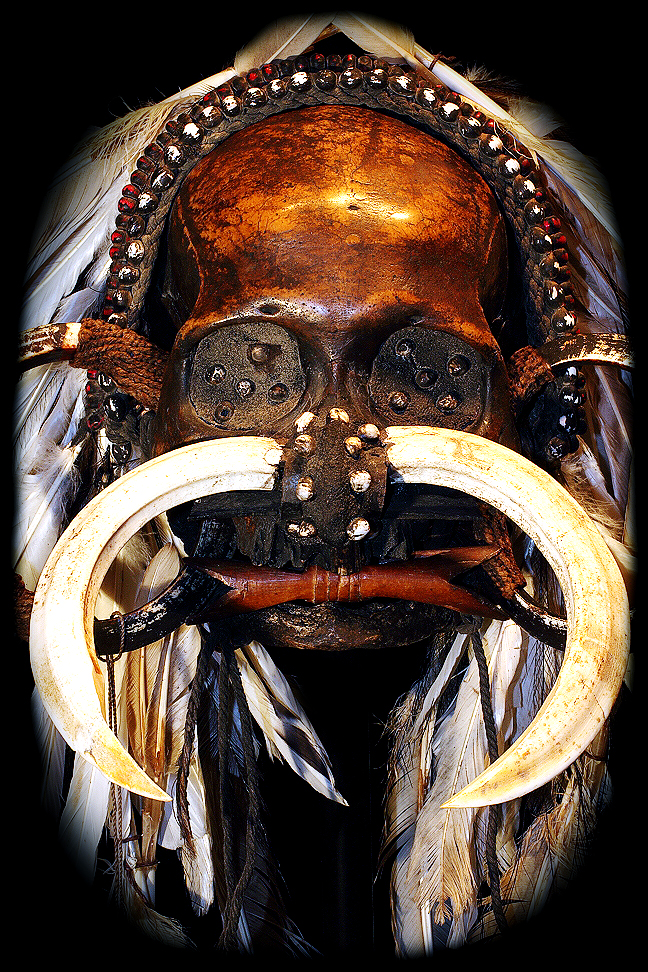 REAL ASMAT HUMAN SKULL