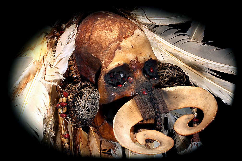 asmat skull david howard tribal art