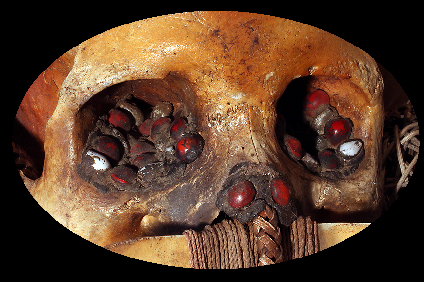 ASMAT SKULL'S EYES RED AND WHITE SEEDS