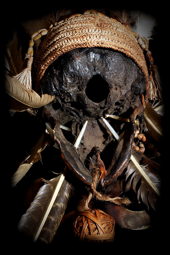 Asmat Authentic Real Human Skull David Howard Tribal Art