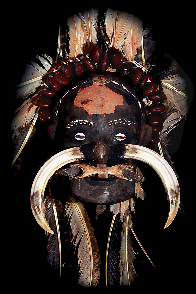 ASMAT SKULL DAVID HOWARD TRIBAL ART