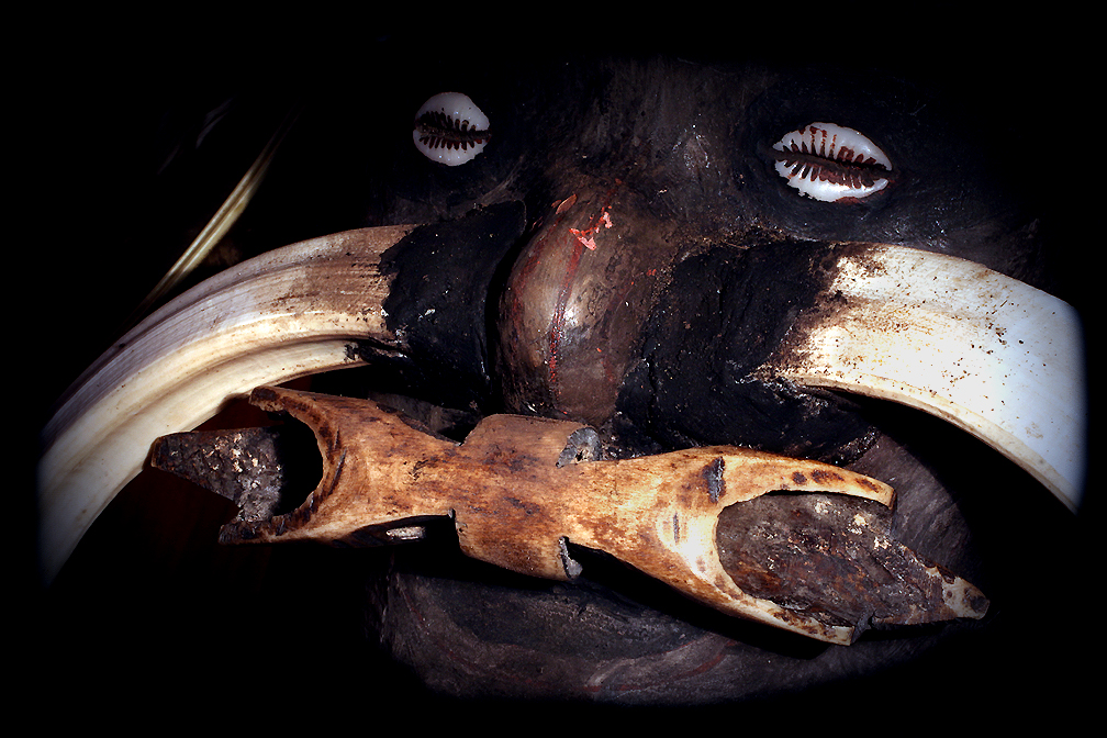 ASMAT BONE AND BOAR TUSK NOSE RINGS