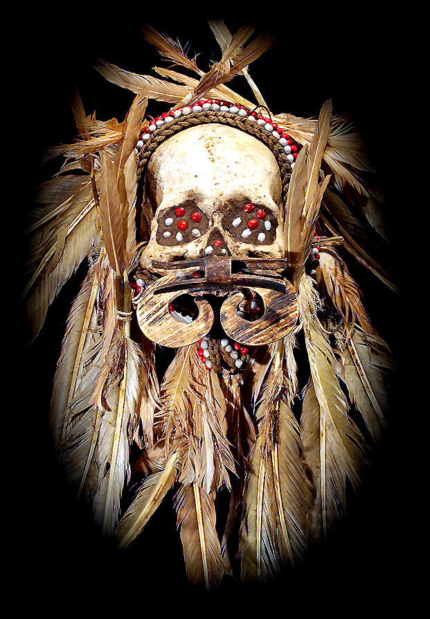 Asmat Skull Tribal Art Asia
