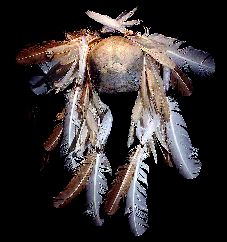 ASMAT TRIBE CANNIBALS ARTIFACT HUMAN SKULL DECORATED IN FEATHERS