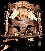 ASMAT CANNIBAL TRIBE INDONESIAN SKULL