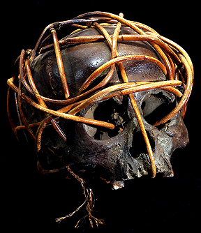 Dayak Skull