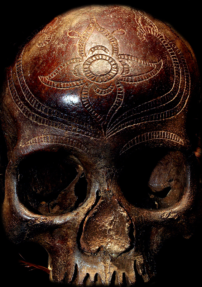 DAYAK SKULL