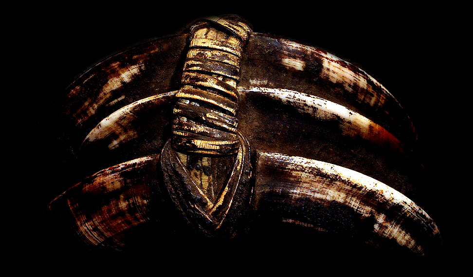 BOAR TUSKS ON DAYAK HUMAN TROPHY SKULL