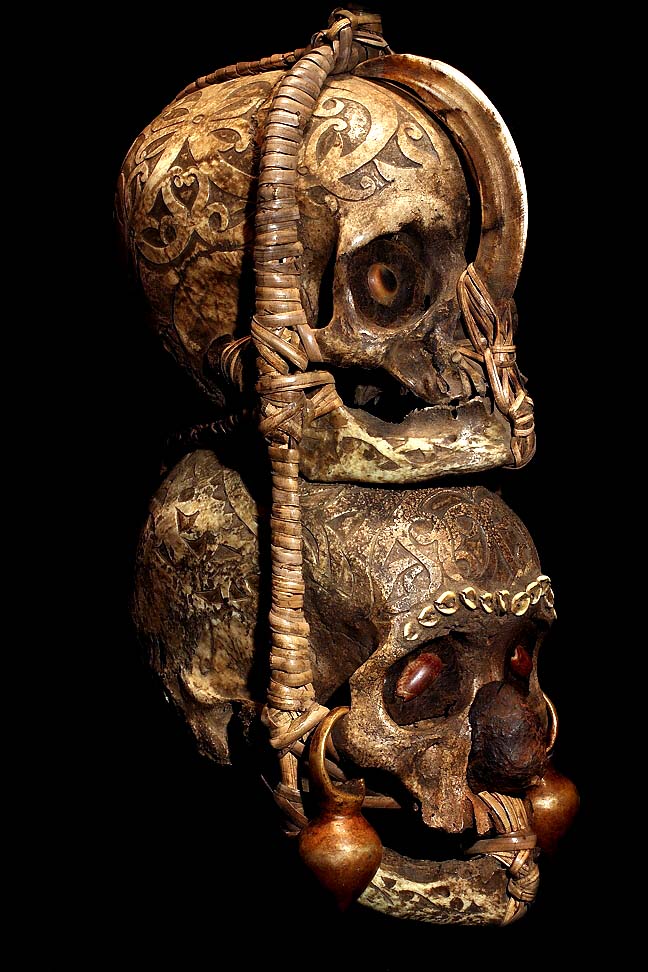 IBAN BORNEO TROPHY SKULLS