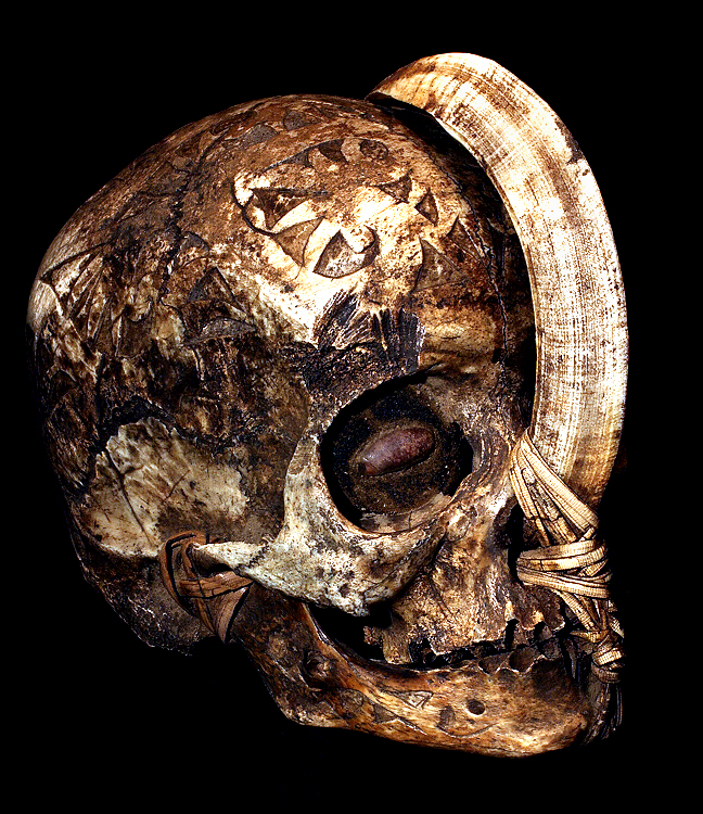 CHILD'S SKULL