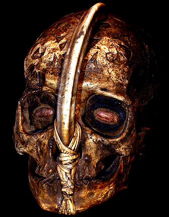 DAYAK CHILD'S HEADHUNTING SKULL