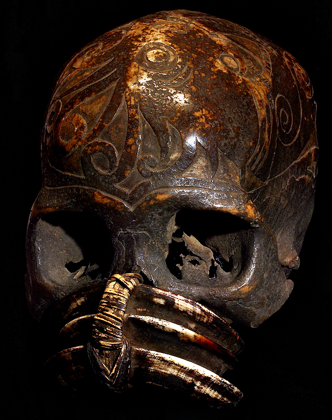 TRIBAL SKULL DAYAK HEADHUNTING TROPHY