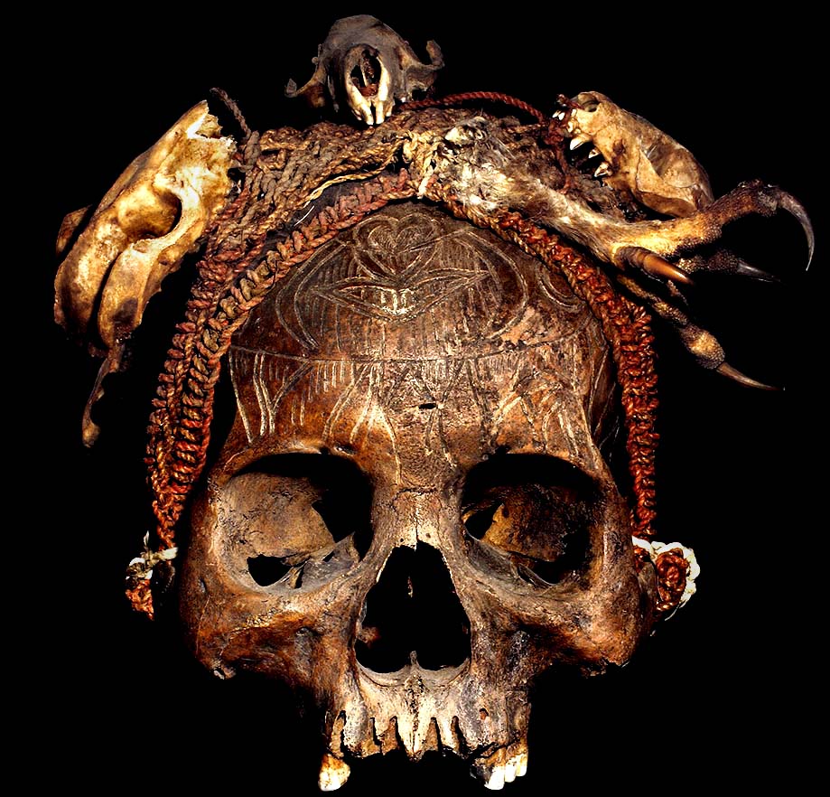 DAYAK HEAD HUNTING TROPHY SKULL