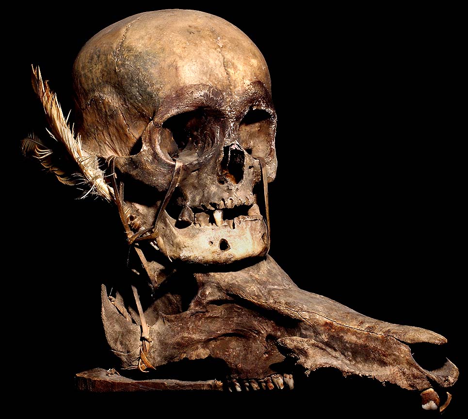 IFUGAO TRIBAL TROPHY SKULL