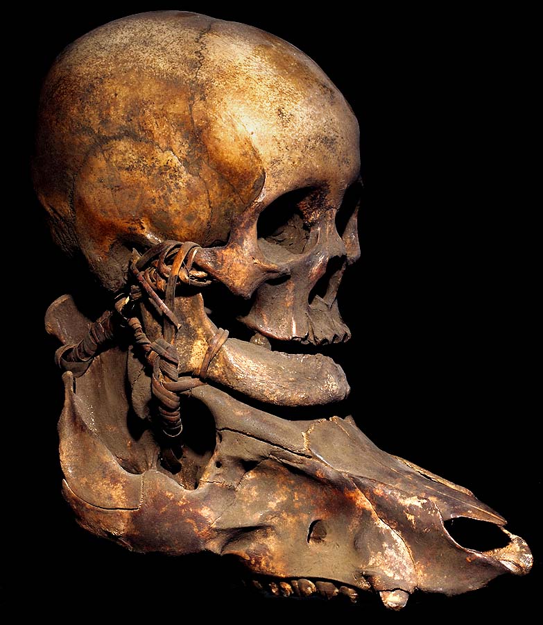 IFUGAO TROPHY SKULL