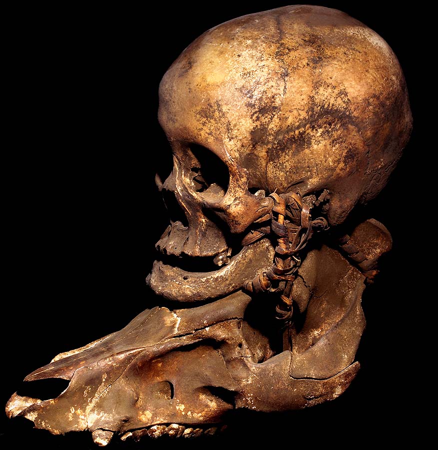 IFUGAO HUMAN TROPHY SKULL