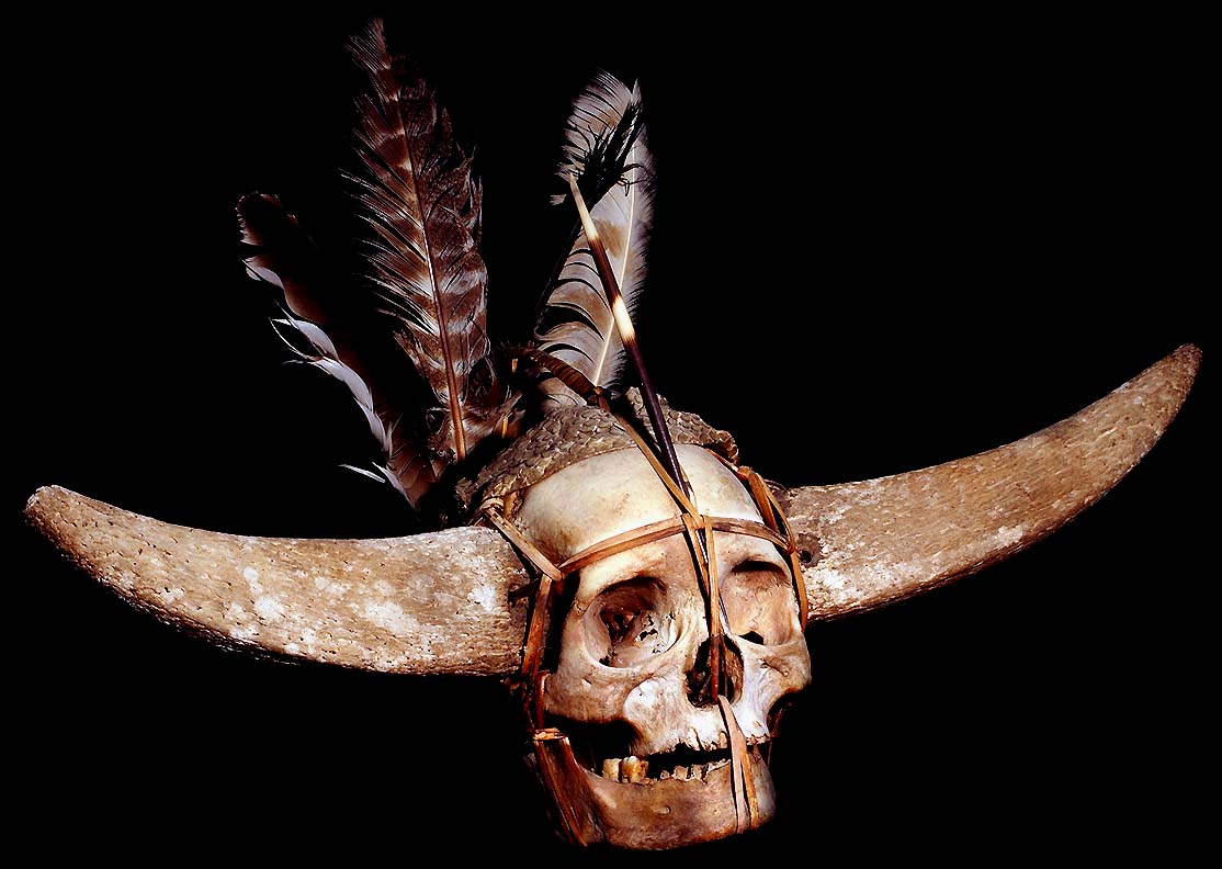 NAGA HUMAN TROPHY SKULL