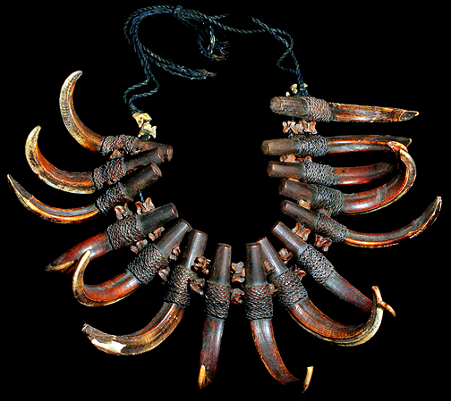 Ifugao headhunter Warrior's Ceremonial Boar Tusk Necklace David Howard Tribal Art
